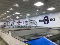 [삼삼해물 장승포수산센터] Q녕님의 추천 리뷰 2022/9/16