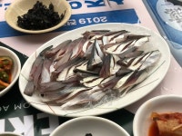[완도회수산] 봉천욀짱님의 추천 리뷰 2022/9/19
