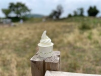 [우유부단] 화려한아기사슴님의 좋음 포스트 2021/7/3