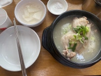 궁중 삼계탕 - 학익동 한식 | 뽈레 Polle [궁중 삼계탕] 학익동 한식 | 뽈레 Polle