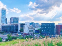 [낙산공원] 부😺님의 추천 포스트 2019/9/15