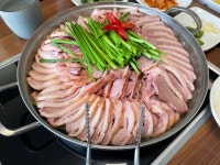 [봄담은 산채] 모모모님의 추천 리뷰 2023/9/17