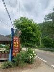 [미산민박식당] 냠쩝챱호록님의 추천 리뷰 2022/5/30