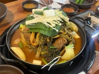 [하나감자탕] 발가락님의 리뷰 2025/3/5