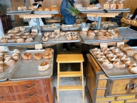 [잡학다식] 소야님의 추천 리뷰 2023/4/23