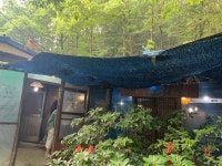 [한터 장수 오리골] 최고야님의 추천 리뷰 2020/5/26