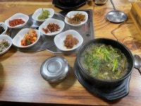 [서연밥상] 하림통닭님의 좋음 리뷰 2023/2/20