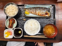 [금복식당] 코로몬님의 추천 포스트 2023/5/2
