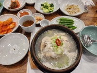 [사헌 삼계탕] dariag님의 좋음 포스트 2023/12/4