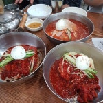 [본가밀면 전문점] 금붕어님의 추천 리뷰 2019/7/25