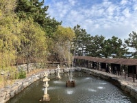 [상화원] 먹뿌님의 추천 리뷰 2023/3/2