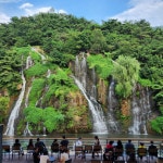 [카페 폭포] 석슐랭님의 추천 리뷰 2023/8/15