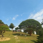 [소울원] 오옹님의 좋음 포스트 2022/9/28