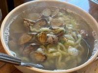 청정 바지락 칼국수 - 일산 칼국수 | 뽈레 Polle [청정 바지락 칼국수] 일산 칼국수 | 뽈레 Polle