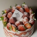 [키친 205 롯데월드몰점] 18.44m님의 추천 포스트 2021/2/24