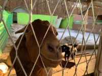 [우농 타조농장] yong님의 추천 포스트 2023/1/24