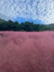 가산 수피아 - 가산면 수목원 | 뽈레 Polle [가산 수피아] 가산면 수목원 | 뽈레 Polle