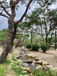 솔밭공원 | 뽈레 Polle [솔밭공원] | 뽈레 Polle