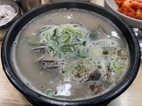 시골집 - 산성동 국밥 | 뽈레 Polle [시골집] 산성동 국밥 | 뽈레 Polle