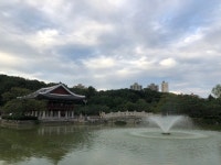 [분당 중앙 공원] 당뉴님의 좋음 리뷰 2021/9/5