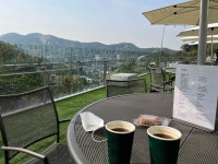 [아델라 베일리] 마스터리님의 추천 포스트 2021/10/26