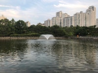 [분당 중앙 공원] 뀨 ᓚᘏᗢ님의 리뷰 2019/6/16