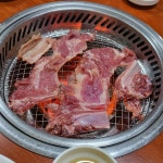 [동창 갈비] 렛스님의 추천 리뷰 2023/4/28