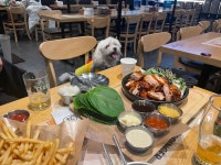 누구나 홀딱 반한닭 장안점 - 장안동 치킨 | 뽈레 Polle [누구나 홀딱 반한닭 장안점] 장안동 치킨 | 뽈레 Polle