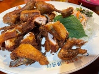 뽀뽀치킨 - 남대문 치킨 | 뽈레 Polle [뽀뽀치킨] 남대문 치킨 | 뽈레 Polle