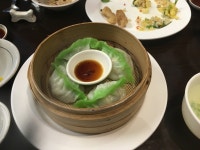 [지동관] 살구맛님의 좋음 포스트 2018/5/26