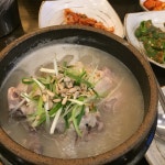 나만의 맛집 지도, 뽈레 [발산삼계탕] 이소야님이 작성 2017/8/11