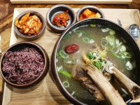 [한] 고래님의 좋음 리뷰 2020/2/19