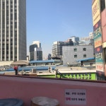 나만의 맛집 지도, 뽈레 [안성상회] 삼칠님이 작성 2018/2/28