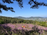 지리산허브밸리 | 뽈레 Polle [지리산허브밸리] | 뽈레 Polle