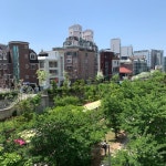 헤이 쥬드 - 홍대 카페 | 뽈레 Polle [헤이 쥬드] 홍대 카페 | 뽈레 Polle