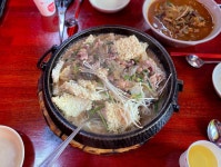 [중화원] Galapagos님의 추천 포스트 2020/9/13