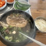 당산마루 능이버섯 삼계탕 - 당산 삼계탕 | 뽈레 Polle [당산마루 능이버섯 삼계탕] 당산 삼계탕 | 뽈레 Polle