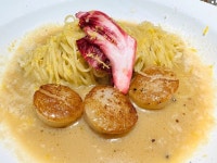 [끌레망 꾸꾸] 구운포도님의 추천 리뷰 2022/3/6