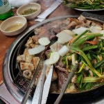 [능동곱창] 푸도님의 추천 포스트 2022/4/26