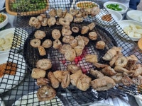 [서울막창 안동분점] 프로호응러님의 추천 리뷰 2023/12/4