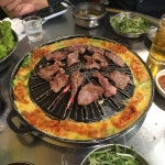 [장수갈매기 본점] 조이님의 좋음 포스트 2018/9/23