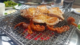 발 빠른 미식 플랫폼, 뽈레! [수정자갈치꼼장어] 껑껑님의 포스트 2018/12/20