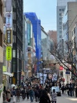 [명동 길거리] 맛 중위님의 추천 포스트 2024/3/31