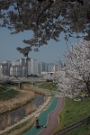 덕송천2교 | 뽈레 Polle [덕송천2교] | 뽈레 Polle