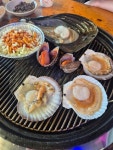 태종대 회 조개구이 - 영종도 조개 | 뽈레 Polle [태종대 회 조개구이] 영종도 조개 | 뽈레 Polle