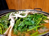 송미옥 | 뽈레 Polle [송미옥] | 뽈레 Polle