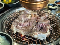 [계수가든] ㄹ님의 좋음 포스트 2022/11/19