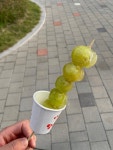 [왕가 탕후루 지축역점] 코쇼숏님의 좋음 포스트 2023/10/3