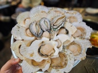 더가리비 - 당리동 조개 | 뽈레 Polle [더가리비] 당리동 조개 | 뽈레 Polle