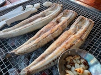영산강 민물장어 백운호수점 - 학의동 장어구이 | 뽈레 Polle [영산강 민물장어 백운호수점] 학의동 장어구이 | 뽈레 Polle